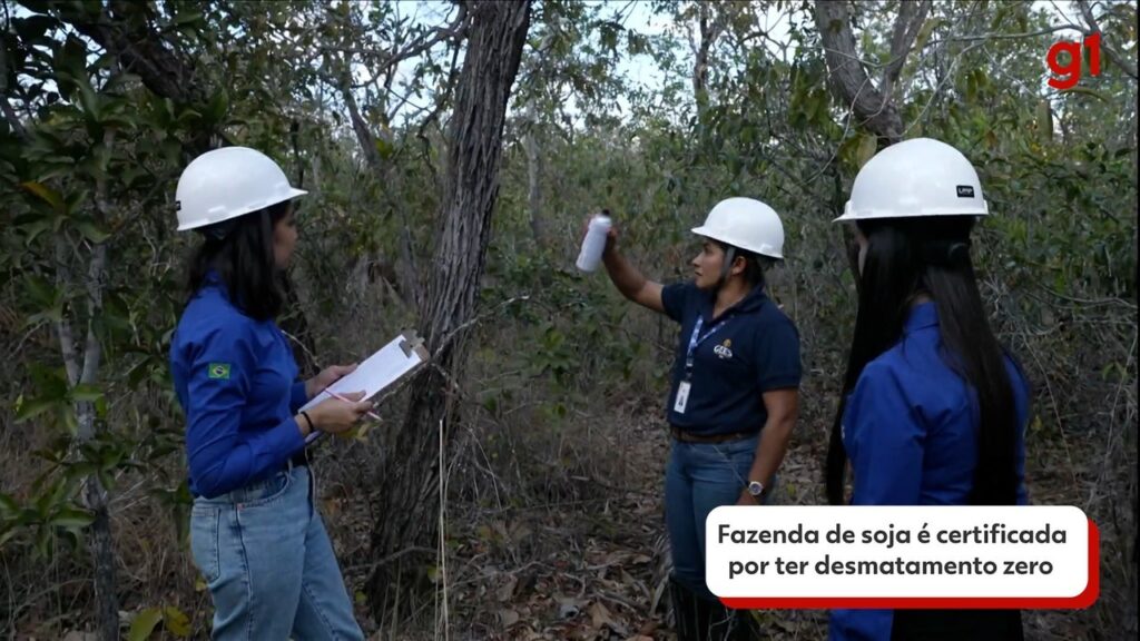 Como é possível combinar agro e desmatamento zero