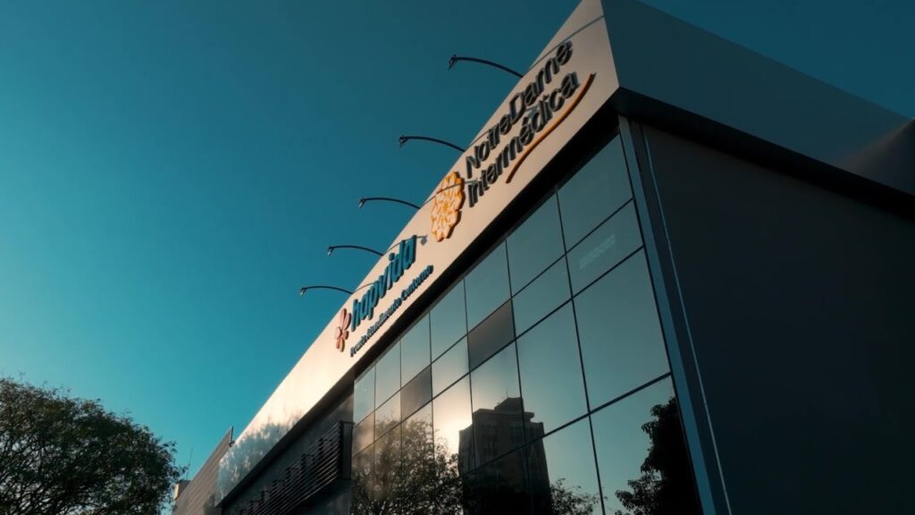 Hapvida: entenda o que aconteceu com as ações da companhia