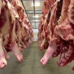 Tarifaço de Trump: fim da taxação de 40% nos EUA deve normalizar exportações de café e carne em MS