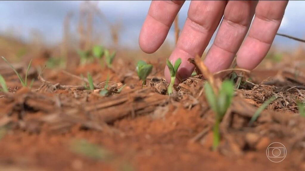 Clima prejudica agricultura brasileira em 2025, e plantio de grãos deve cair