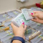 CNH renovada de graça: saiba o que é preciso para ser considerado como 'bom condutor'