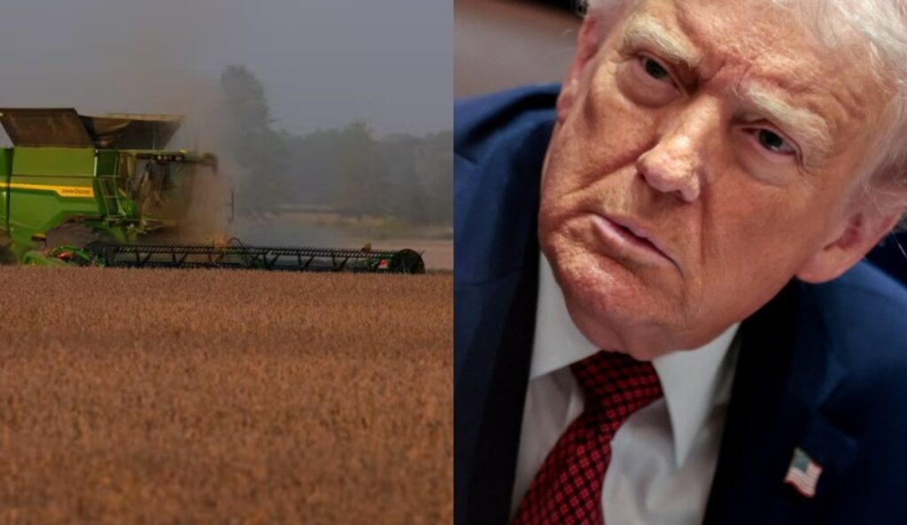 Agricultores dos EUA dizem que ajuda de Trump só retarda sangramento