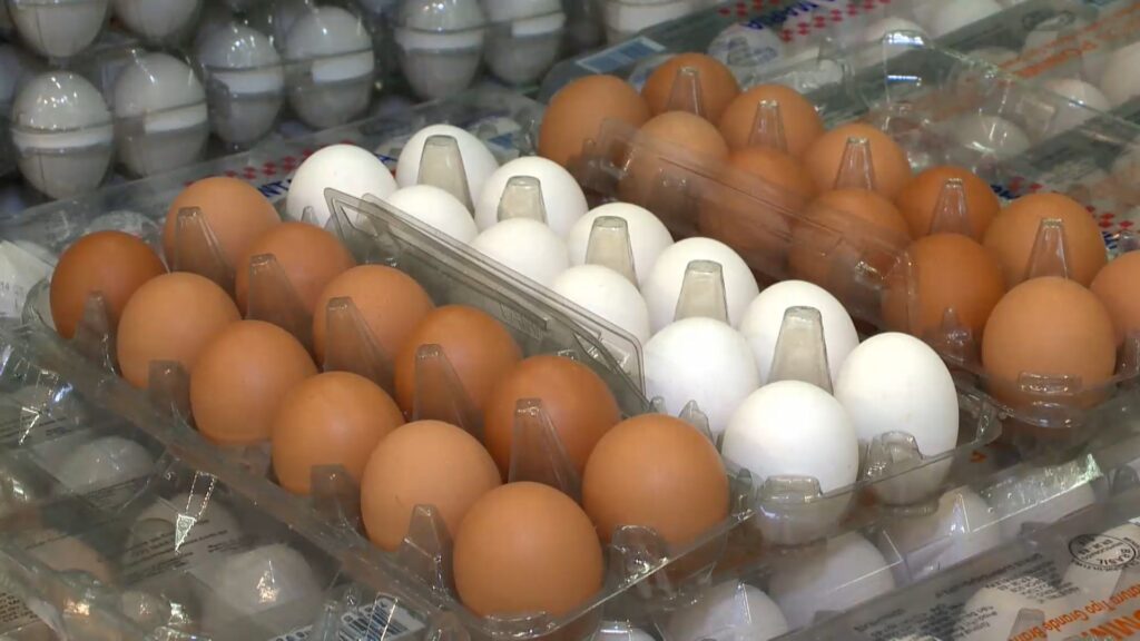 Tarifaço de Trump continua para ovos brasileiros e acaba com a disparada de vendas para os EUA