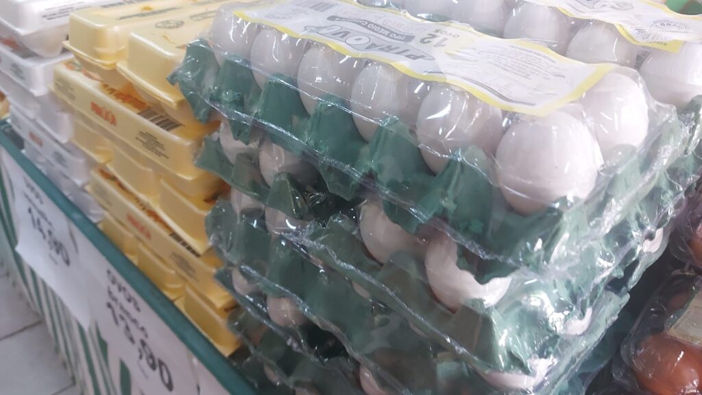 Ovos: insumos em alta e queda nas cotações em novembro reduzem poder de compra do produtor, analisa USP